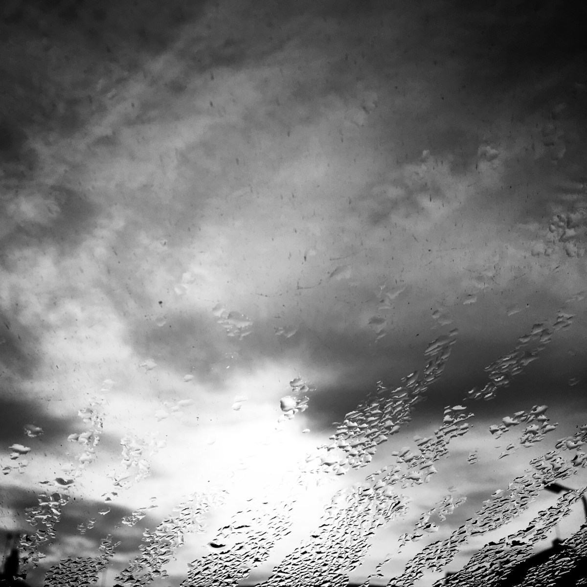 Seven days without color: day&nbsp;7